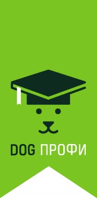 Баннер Dog Профи лого на зеленом флажке